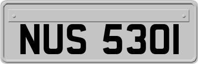 NUS5301
