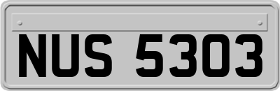 NUS5303