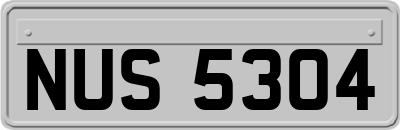 NUS5304