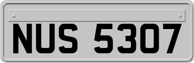 NUS5307
