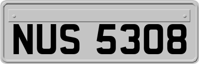 NUS5308