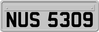 NUS5309