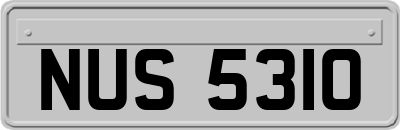 NUS5310