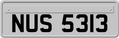 NUS5313