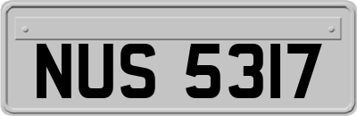 NUS5317