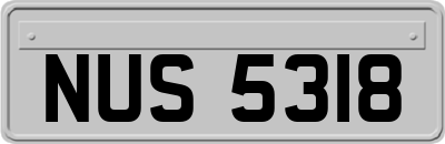 NUS5318