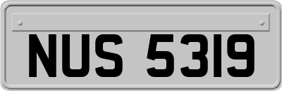 NUS5319