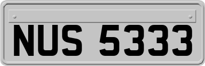 NUS5333