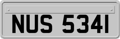 NUS5341