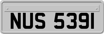 NUS5391