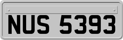 NUS5393