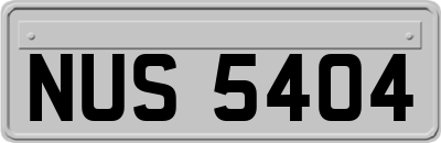 NUS5404