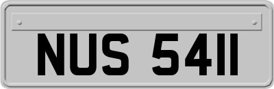 NUS5411
