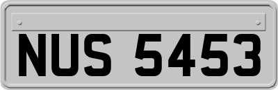 NUS5453