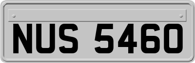 NUS5460