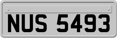 NUS5493