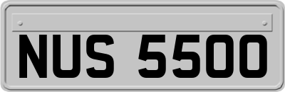 NUS5500