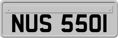 NUS5501