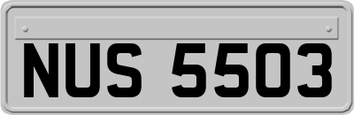 NUS5503