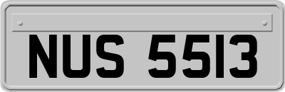 NUS5513