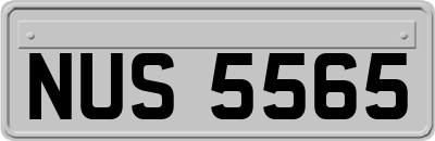 NUS5565