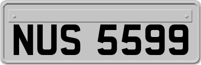 NUS5599