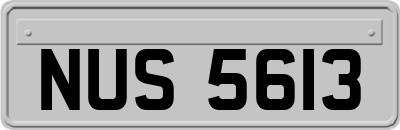 NUS5613