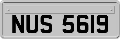 NUS5619