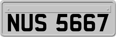 NUS5667