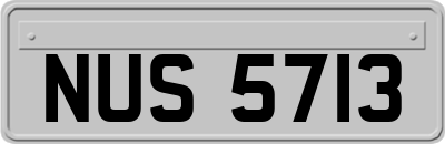 NUS5713