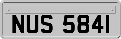 NUS5841