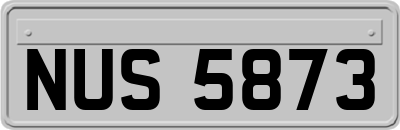 NUS5873