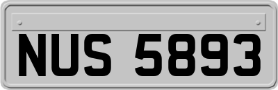 NUS5893