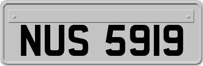 NUS5919