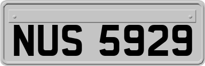 NUS5929