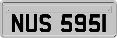 NUS5951