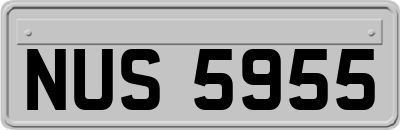 NUS5955
