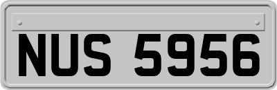 NUS5956