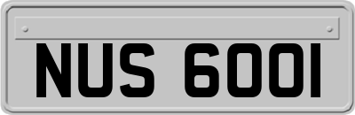 NUS6001