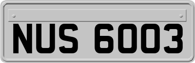 NUS6003