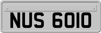 NUS6010