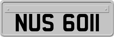 NUS6011