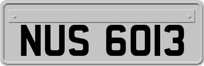 NUS6013