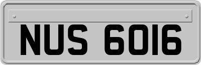 NUS6016