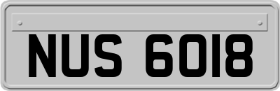 NUS6018