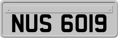 NUS6019