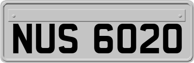 NUS6020