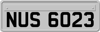 NUS6023
