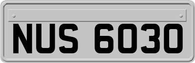NUS6030