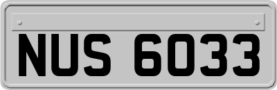 NUS6033